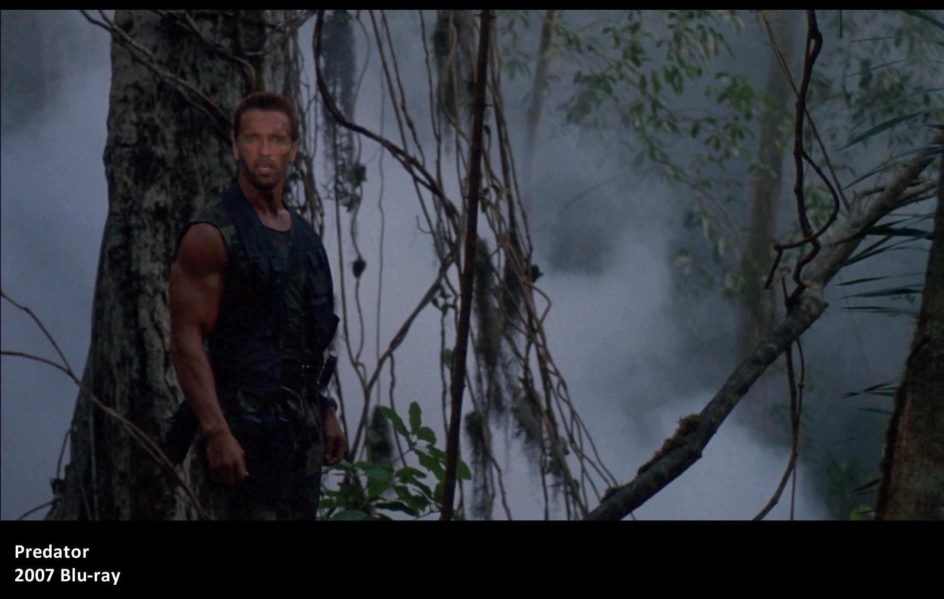 Predator comparison - 2007 Blu-ray