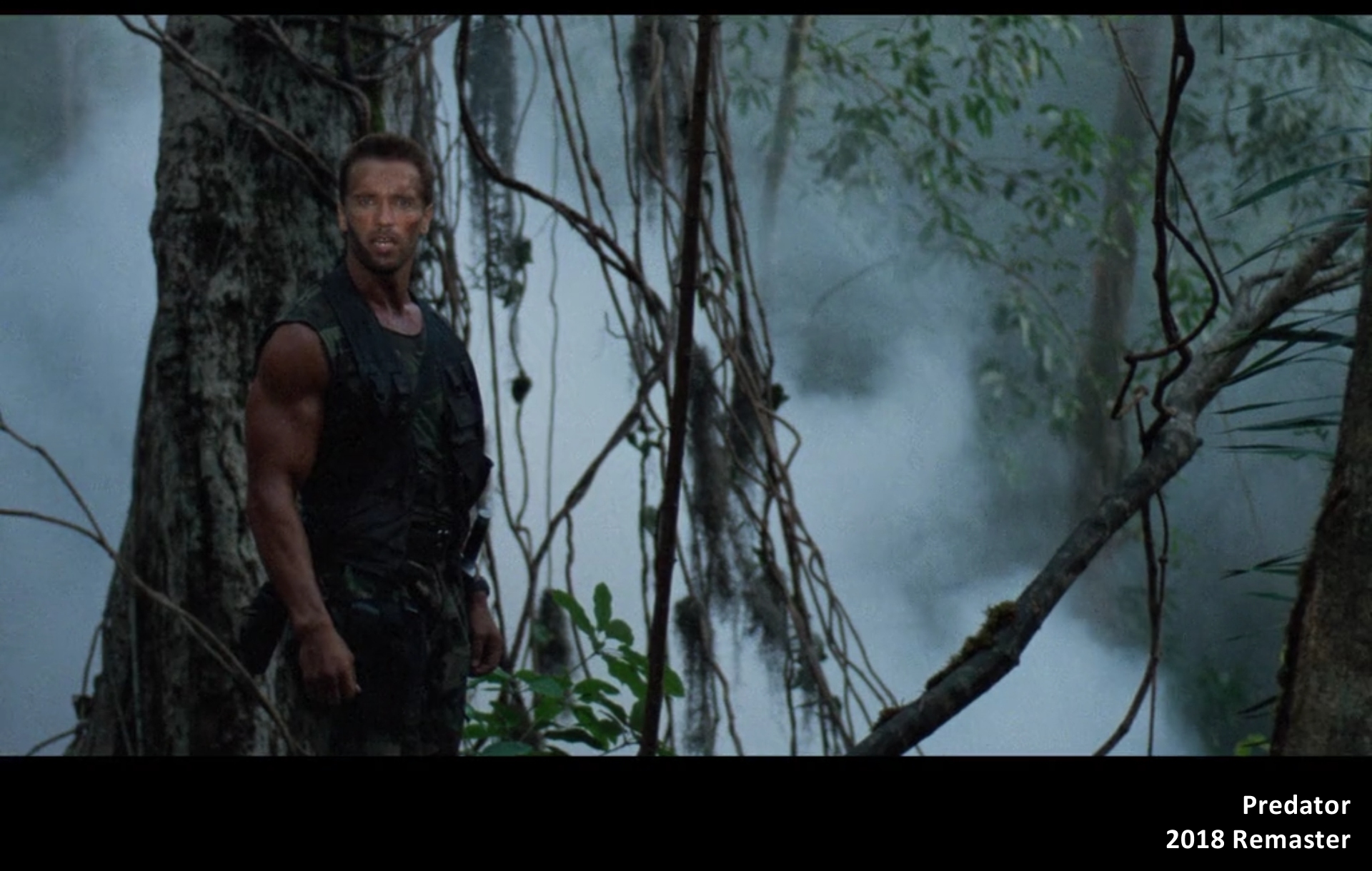 Predator comparison - 2018 Remaster