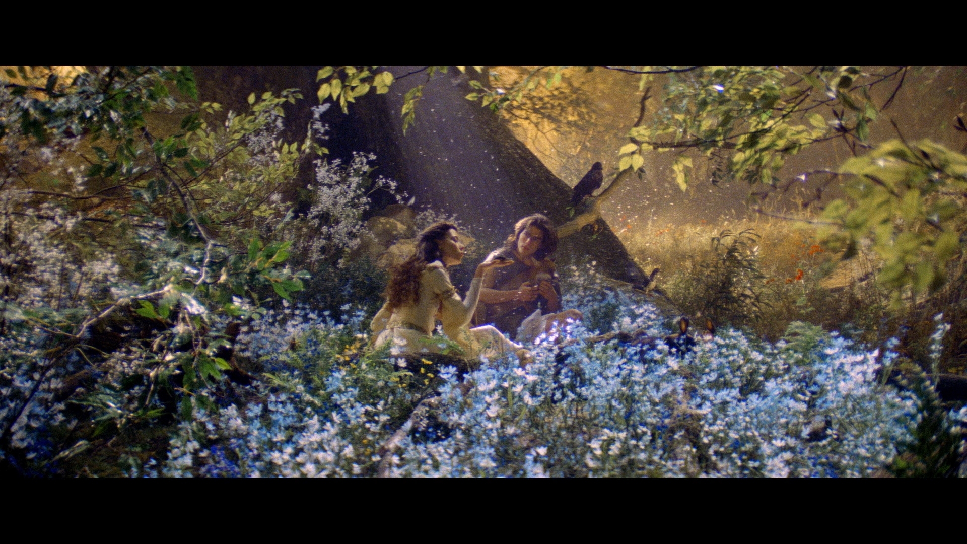 Legend (1985) Comparison 4 - Theatrical Cut Arrow Blu-ray