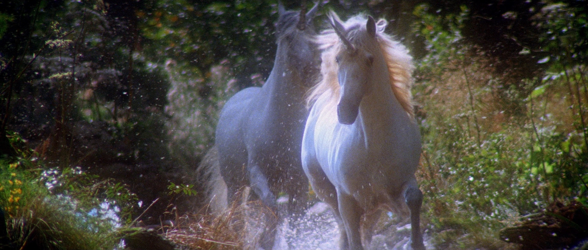 Legend (1985) - Unicorns