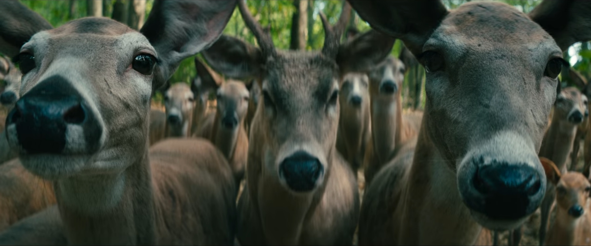 Leave the World Behind (2023) - Deer being weird