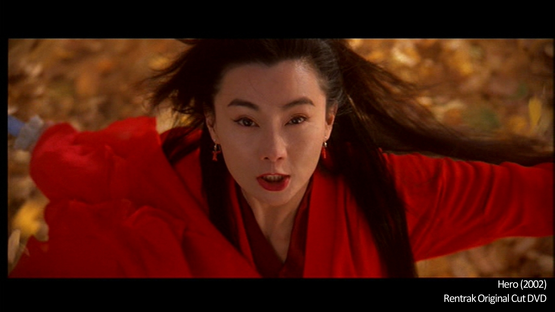 Hero (2002) - Comparison 3 Rentrak DVD