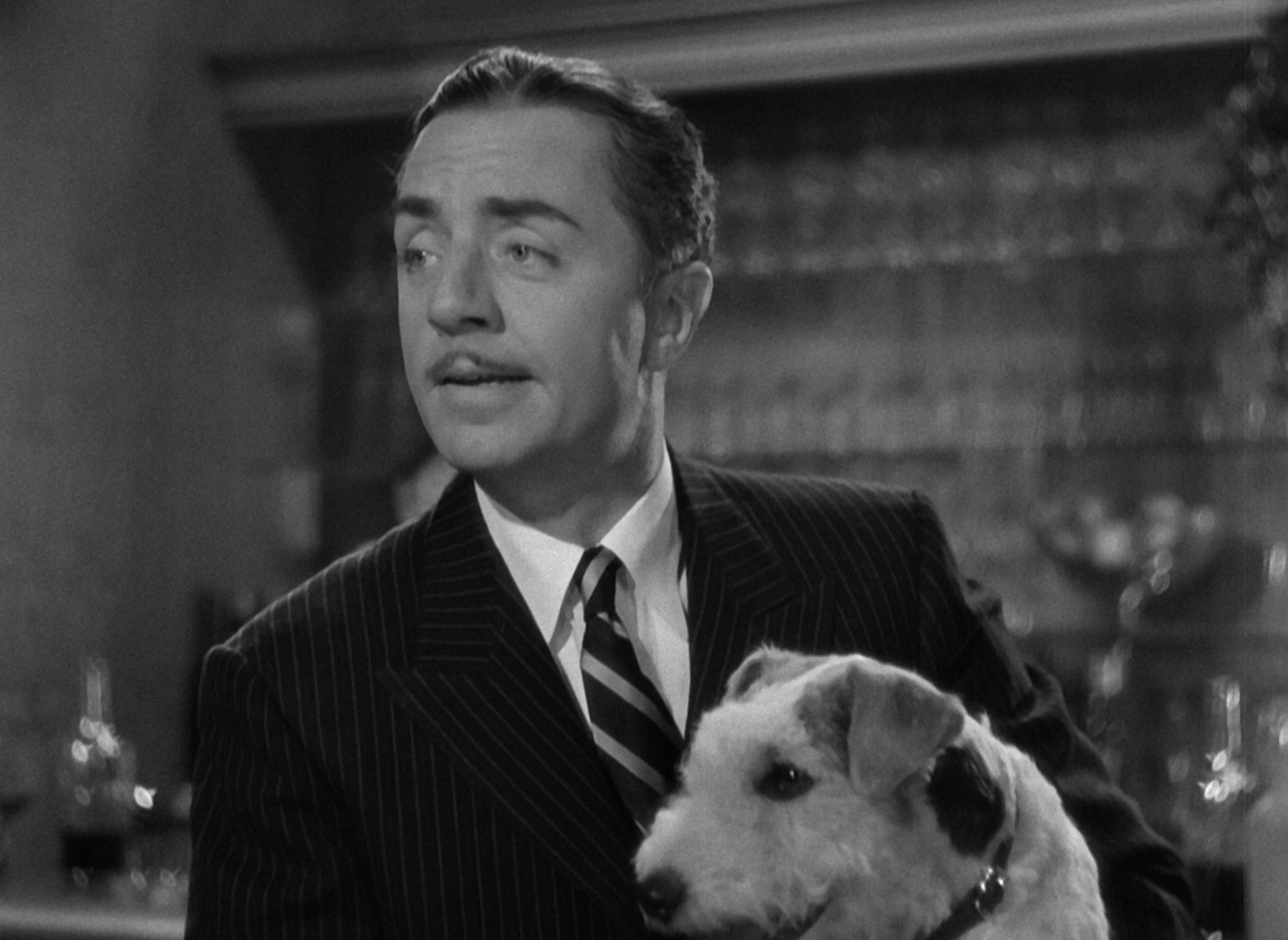 The Thin Man (1934) - William Powell & Asta The Thin Man (1934) - William Powell & Asta