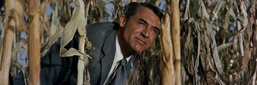 North by Northwest (1959) - Cary Grant