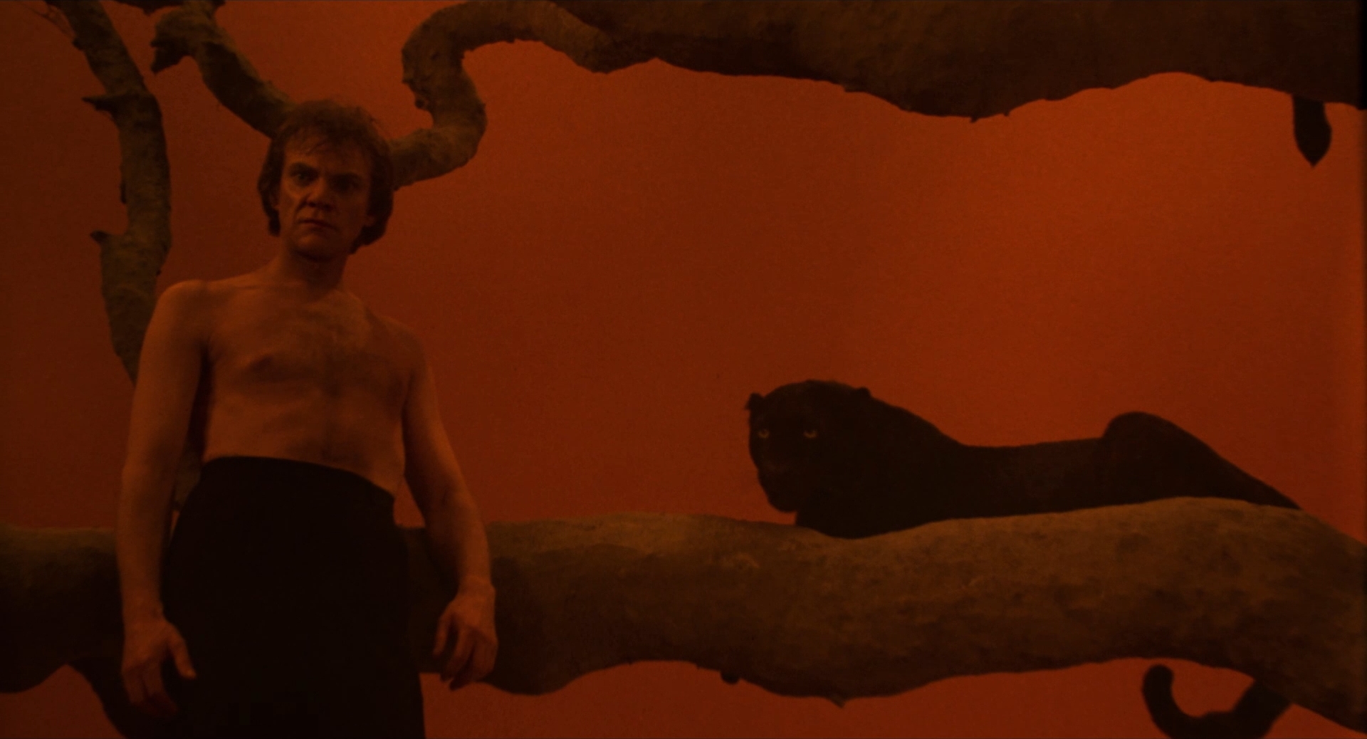 Cat People (1982) - Malcolm McDowell Cat People (1982) - Malcolm McDowell