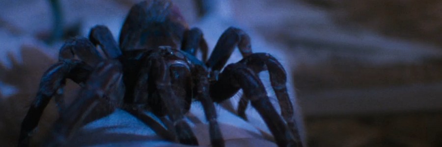Arachnophobia (1990)